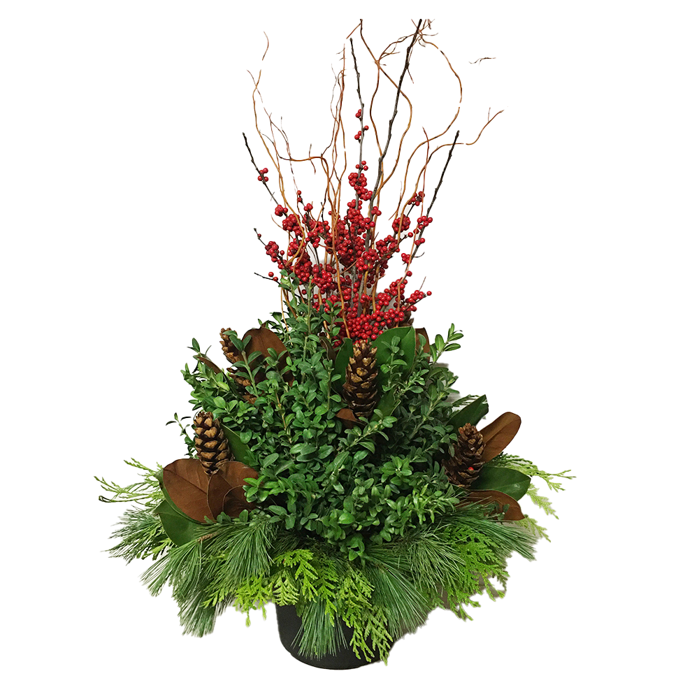 Urn - Ilex with willow