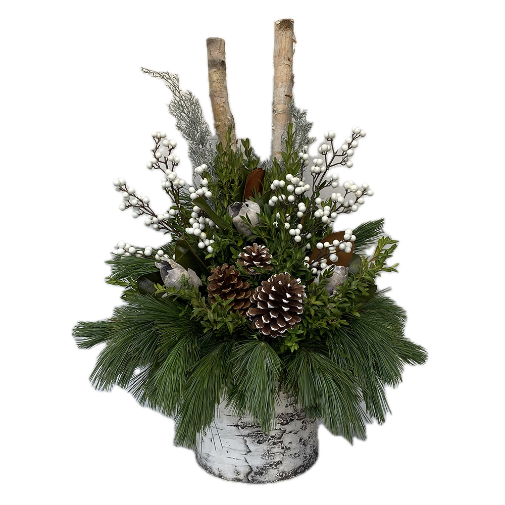 Urn - White Berry Jodi Birch Pot