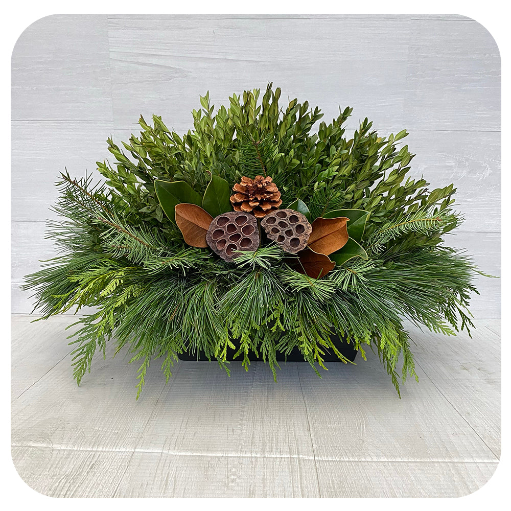 Mini/ Small Window Box - Natural Lotus