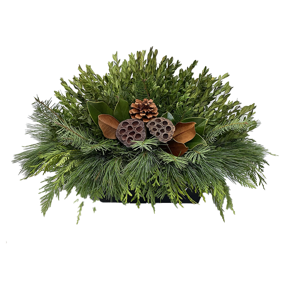 Mini/ Small Window Box - Natural Lotus