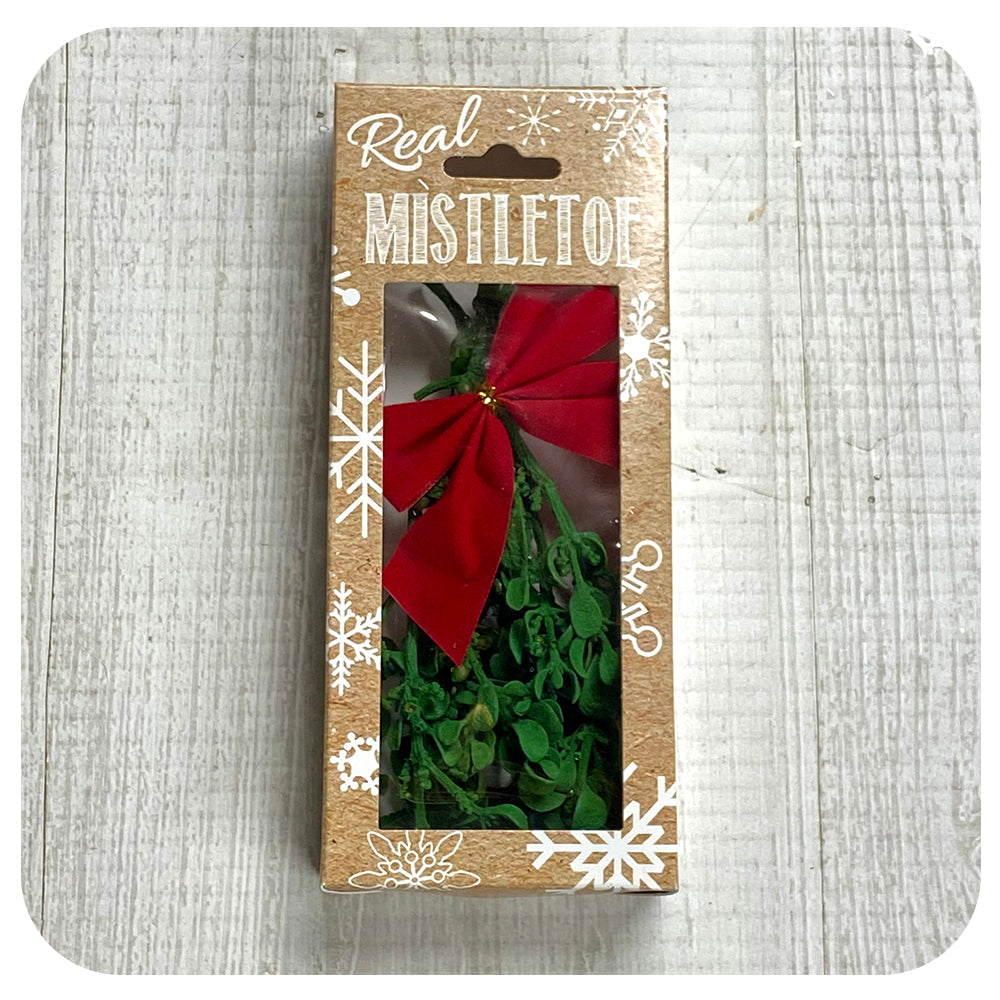 Mistletoe