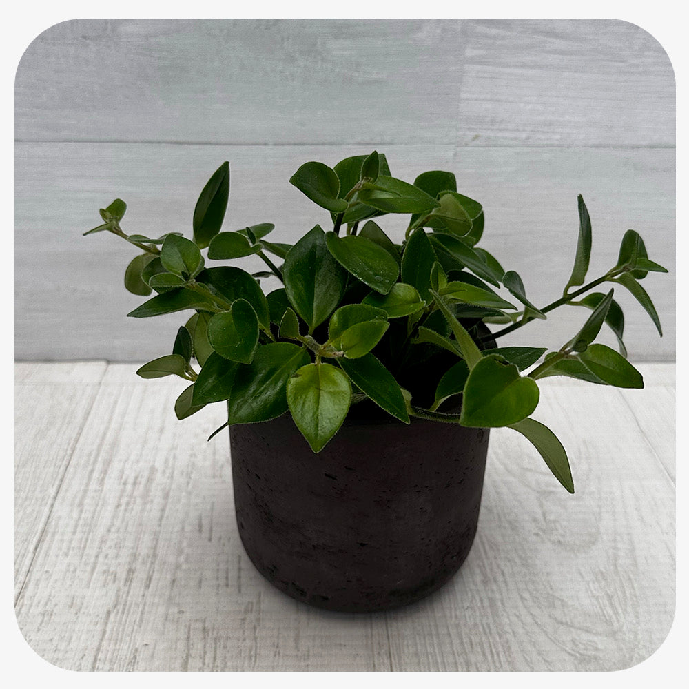 Lipstick 'Mona Lisa'