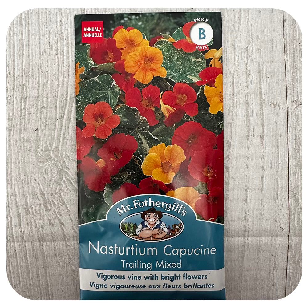 Nasturtium 'Trailing Mixed'' Seeds