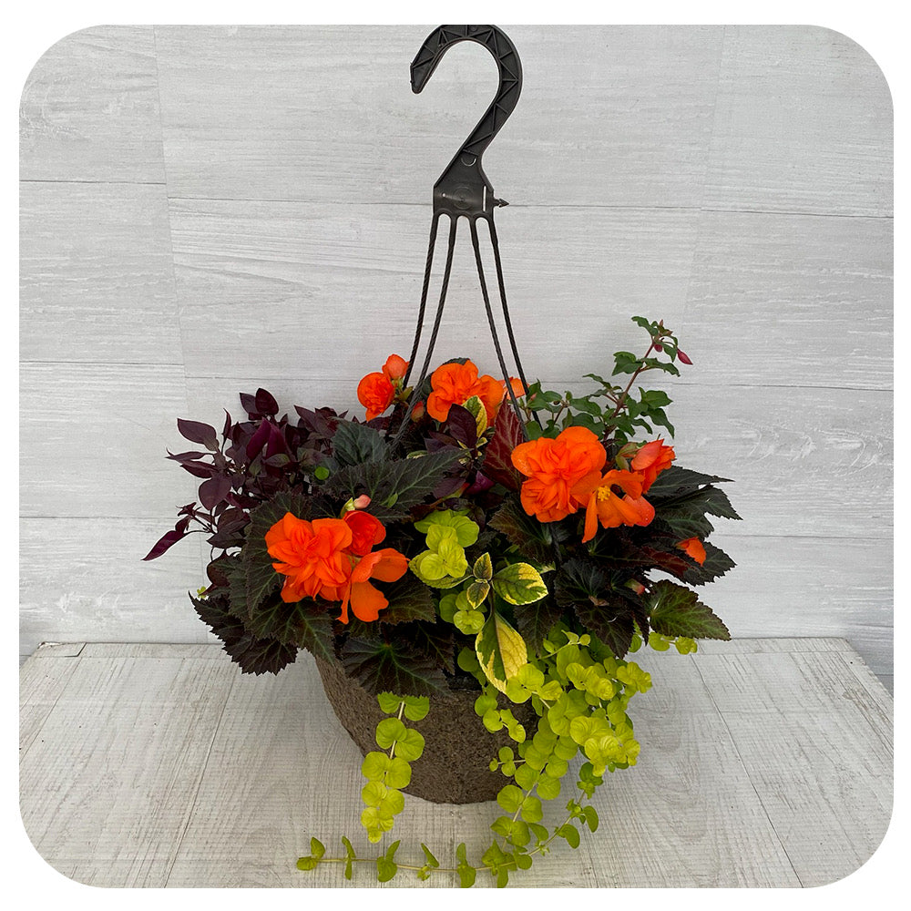 Hanging Basket Shade - Bright Orange Mix