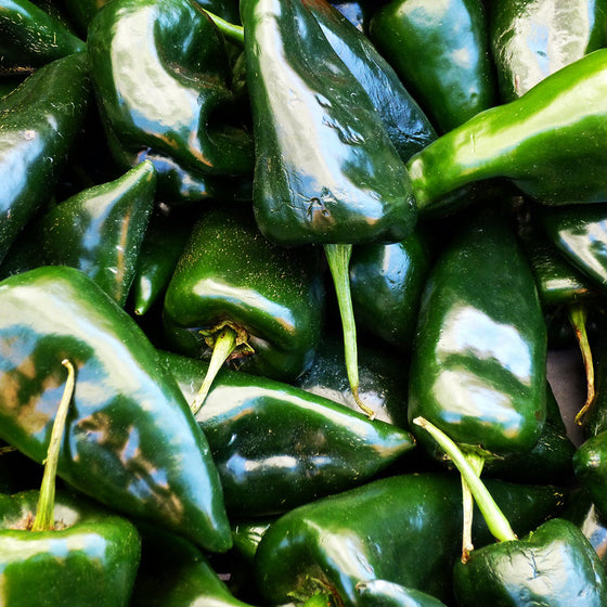 Poblano Hot Pepper (Vicki's Veggies Organic)