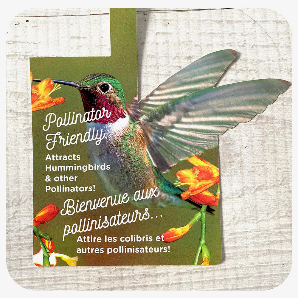 Pollinator Hanging Basket for Sun