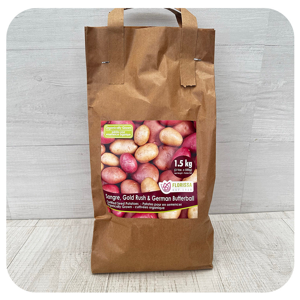 Organic Seed Potatoes Combo Sack