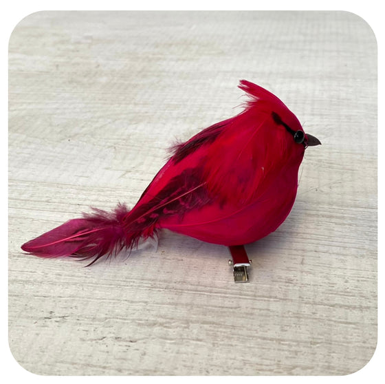 Round Cardinal Clip