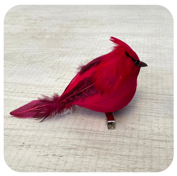 Round Cardinal Clip - Davenport Garden Centre