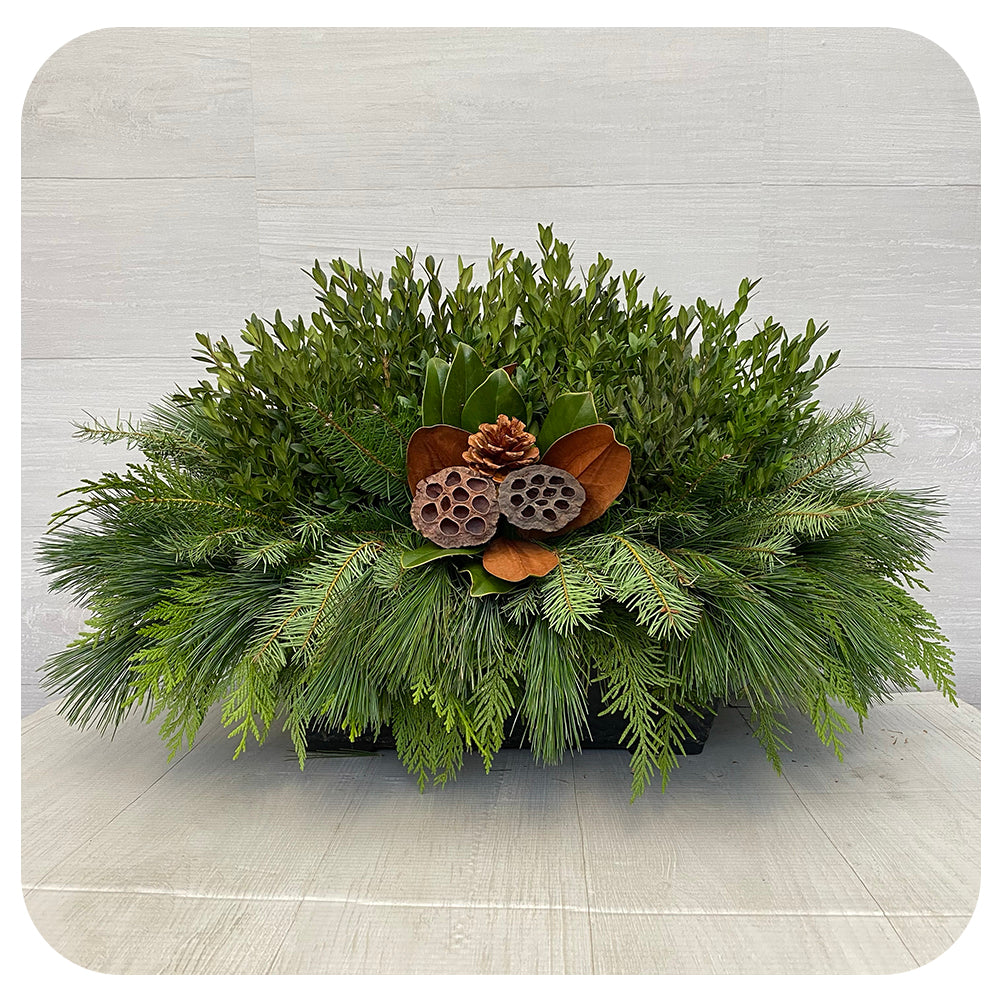 Mini/ Small Window Box - Natural Lotus