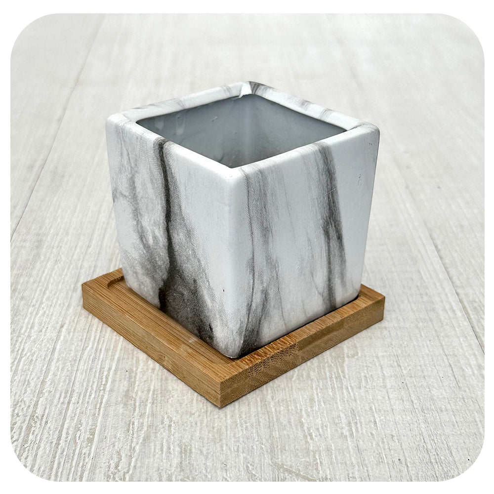Mini Marble Square