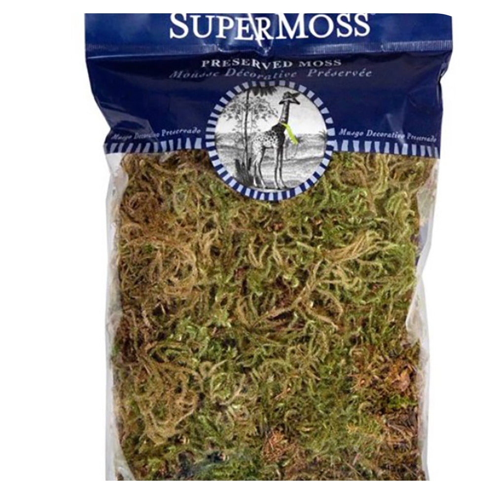 Preserved Moss