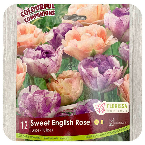 Tulip Mix 'Sweet English Rose'