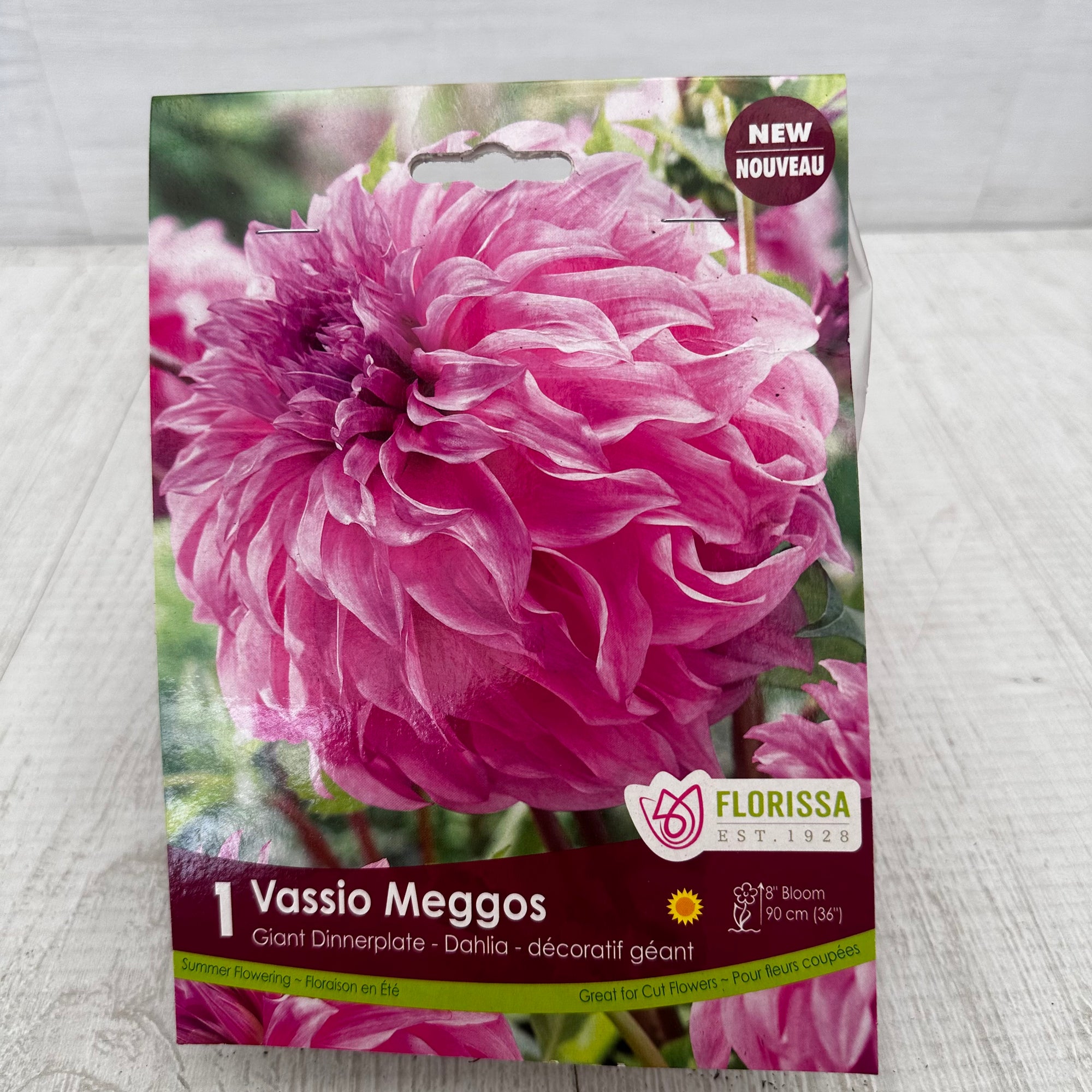 Dahlia Dinnerplate - Vassio Meggos