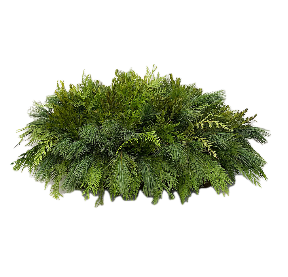 Window Box - Green Mix Boxwood