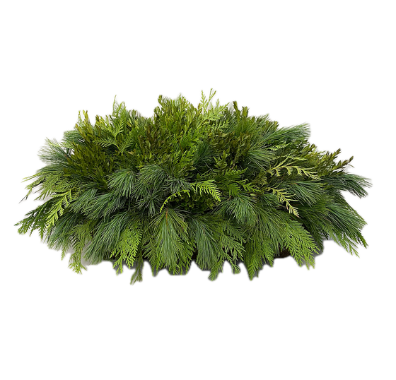 Window Box - Green Mix Boxwood