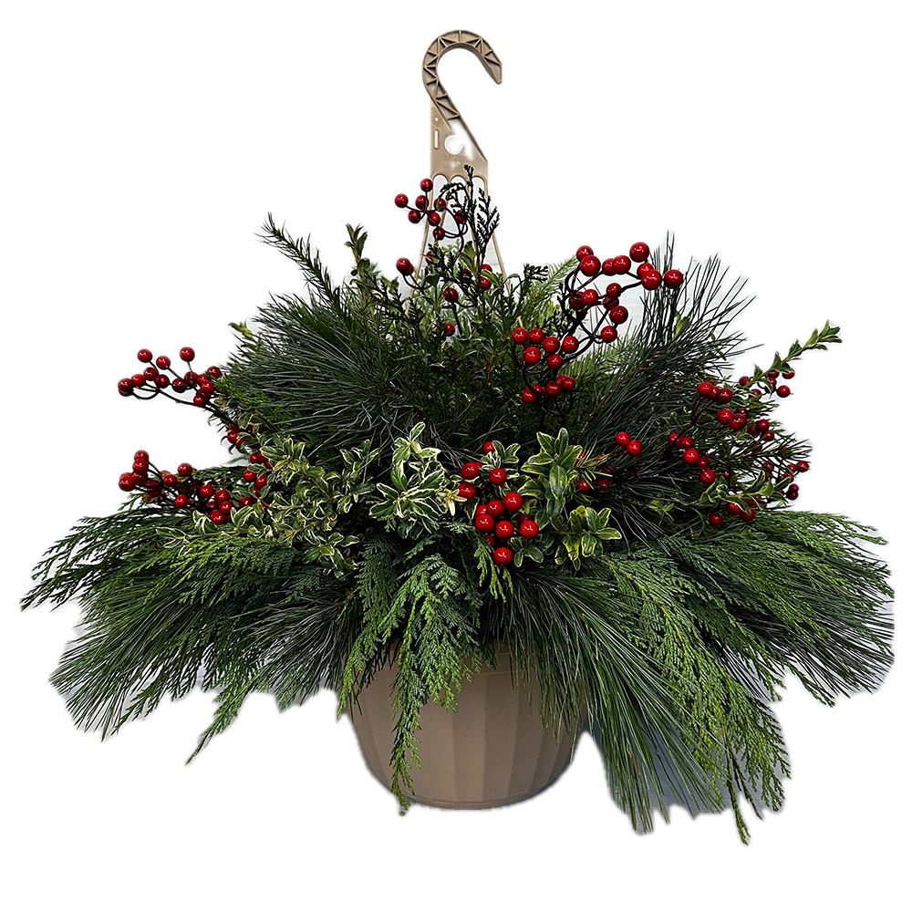 Winter Hanging Basket