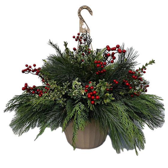 Winter Hanging Basket
