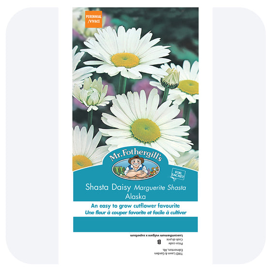 Shasta Daisy Seeds