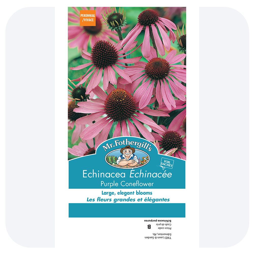 Echinacea 'Purple Coneflower' Seeds