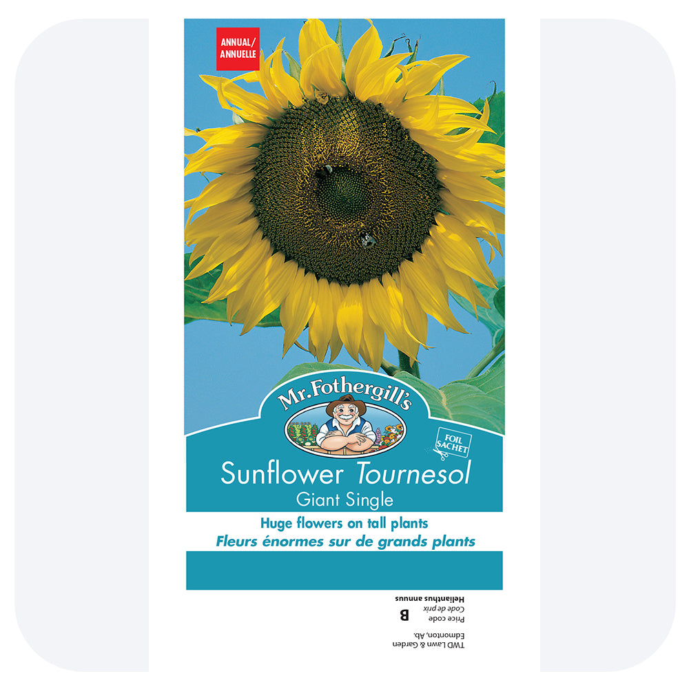 Giant Sunflower Seeds (Mr. Fothergill's)