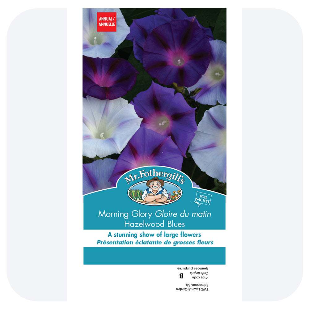 Morning Glory 'Hazelwood Blue' Seeds