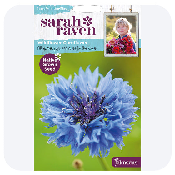 Cornflower Seeds