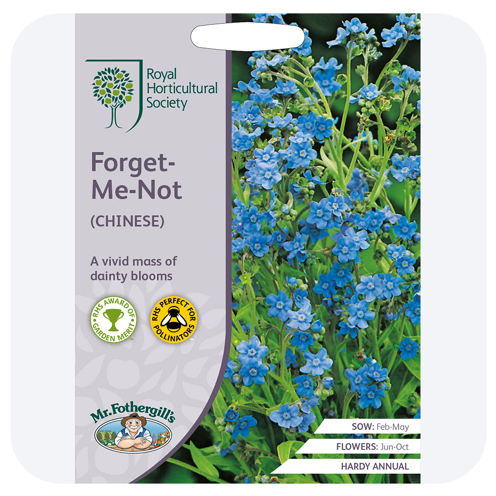 Chinese Forget Me Not Seeds For Sale At Renaissance Farms