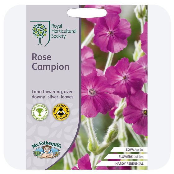 Rose Campion Seeds