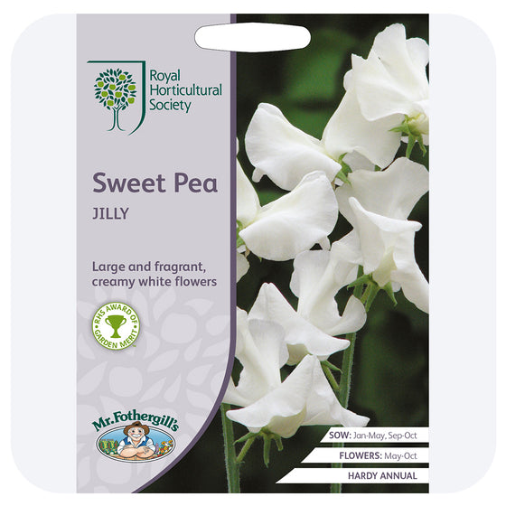 Sweet Pea 'Jilly' Seeds