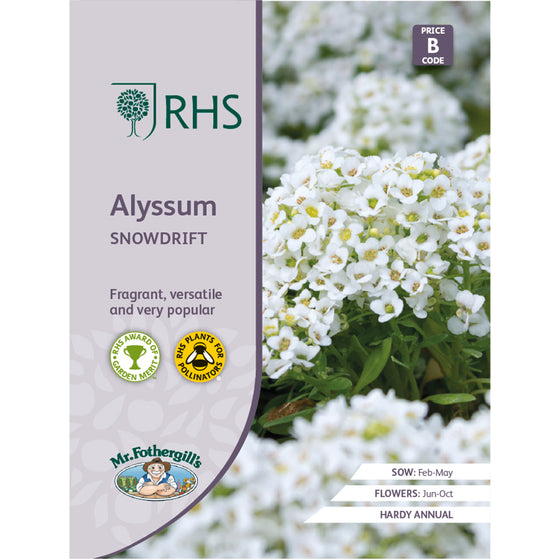 Alyssum 'Snowdrift'  or 'Carpet of Snow' Seeds