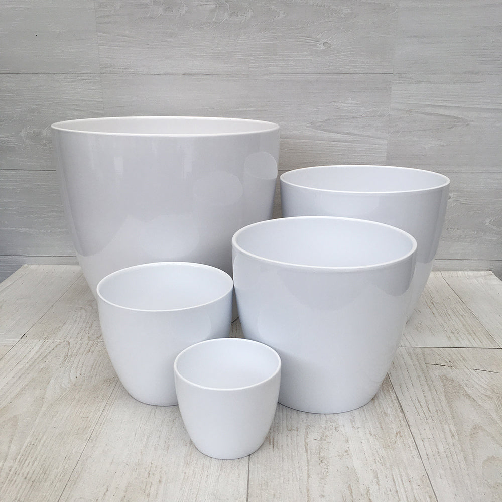 Scheurich Alaska Pot