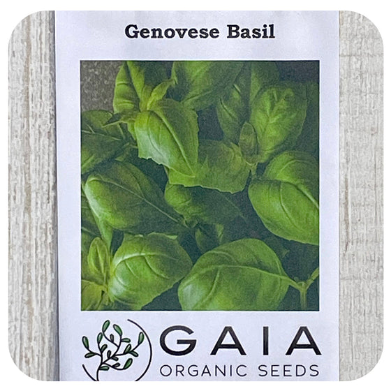 Basil Genovese Seeds (Organic)