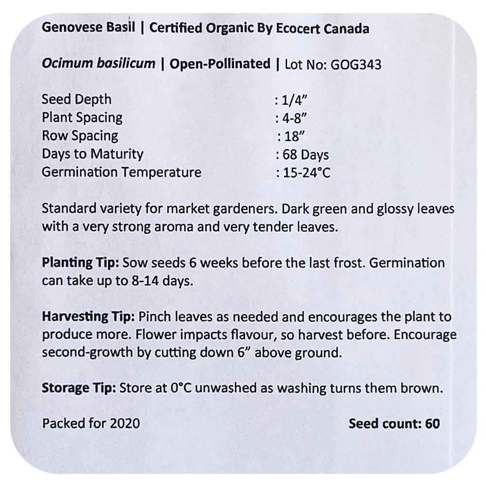 Basil Genovese Seeds (Organic)