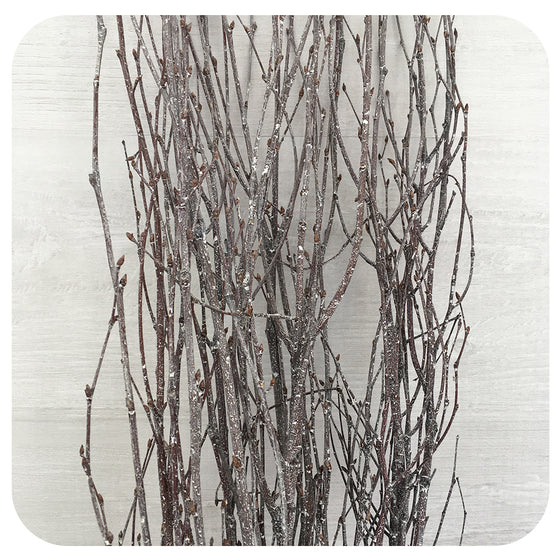 Birch Branches - Natural White
