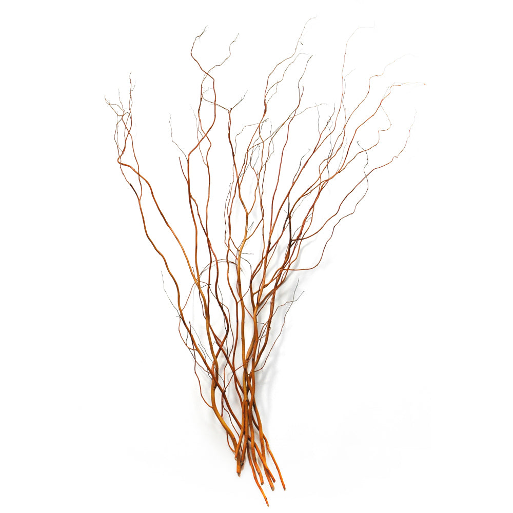 Red Curly Willow Branches - Fresh