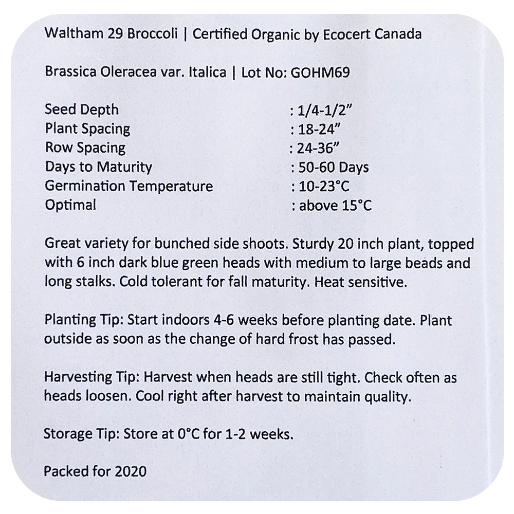 Broccoli Seeds (Organic)