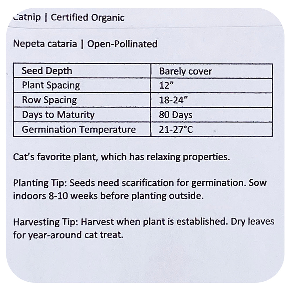 Catnip Seeds (Organic)