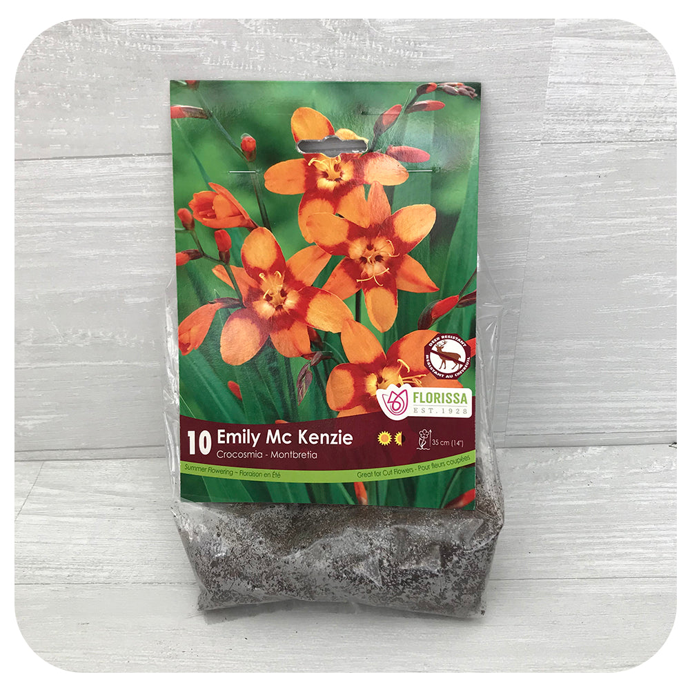 Crocosmia Emily Mackenzie