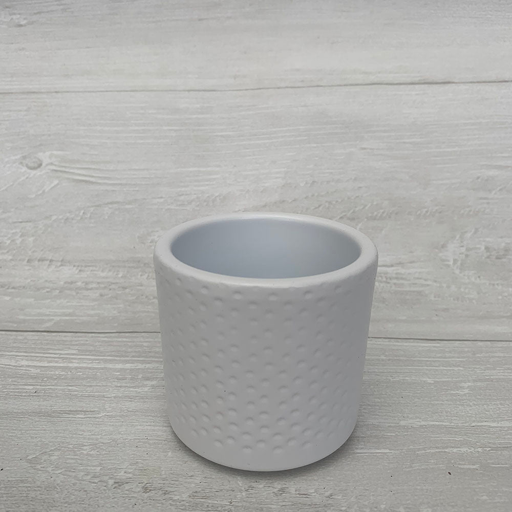 Mini Era Pot Assorted Colours