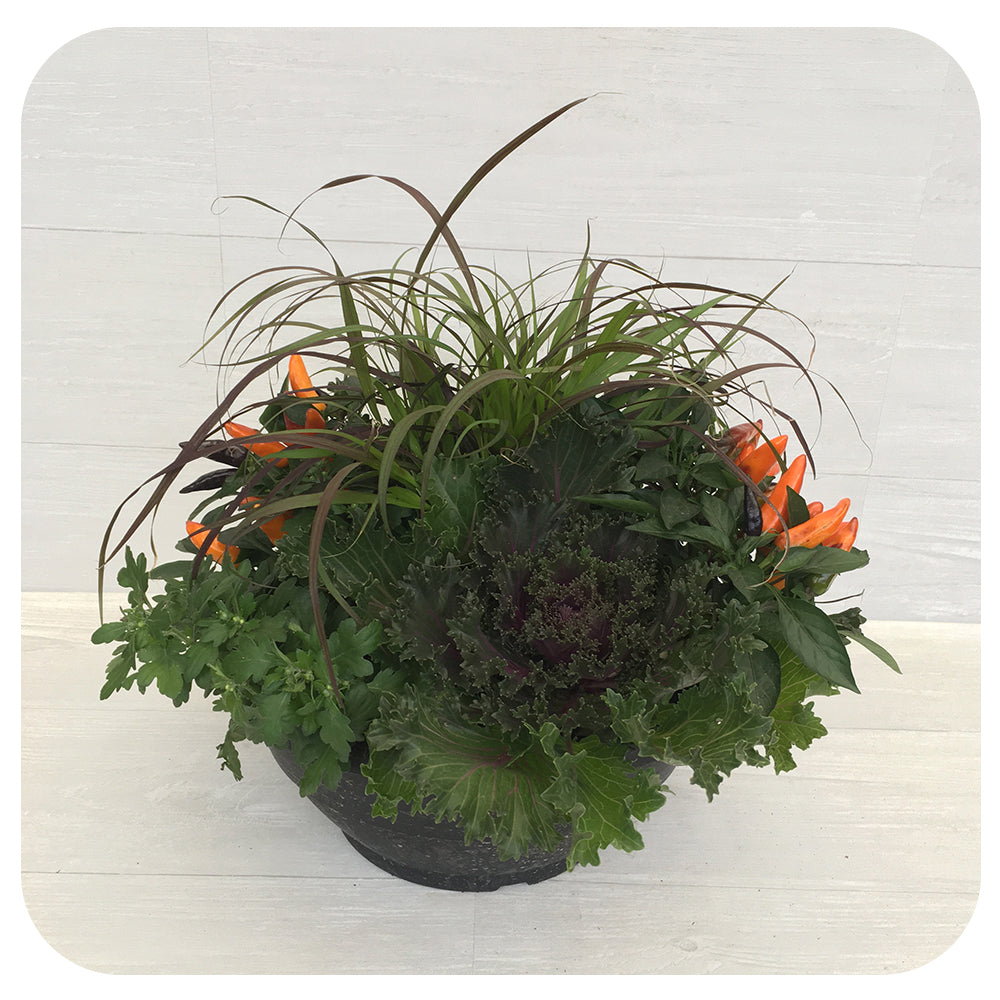 Autumn Arrangement 12" bowl