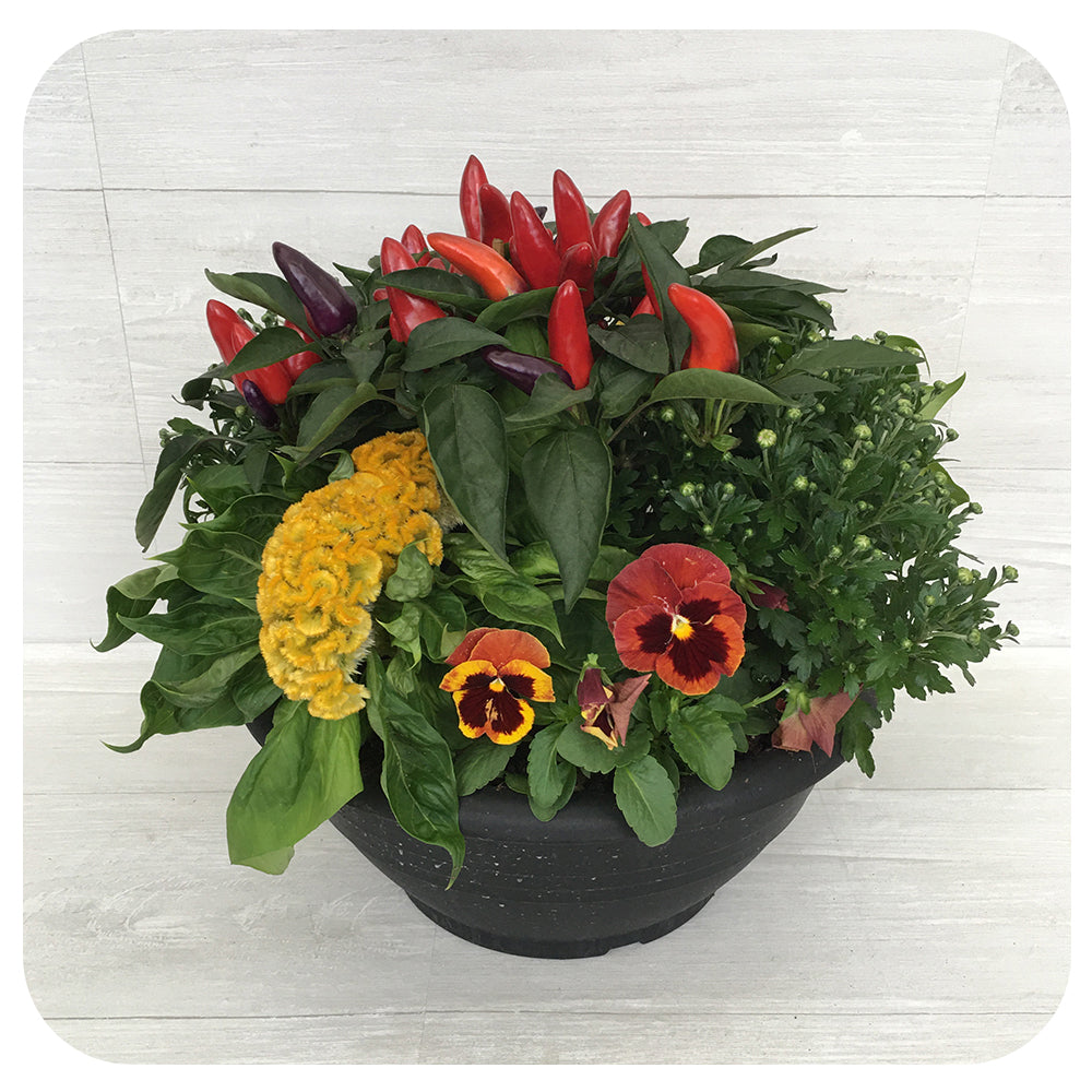 Autumn Arrangement 12" bowl