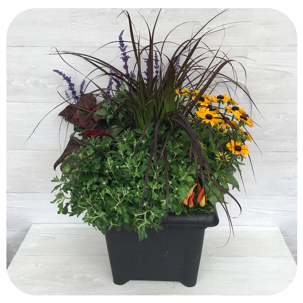 Autumn Arrangement 14" Square