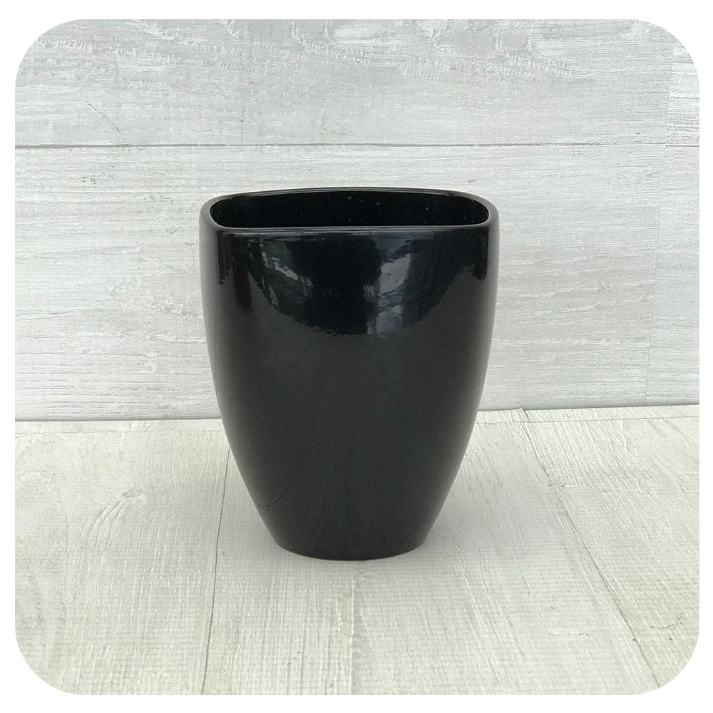 Orchid Pot - Black