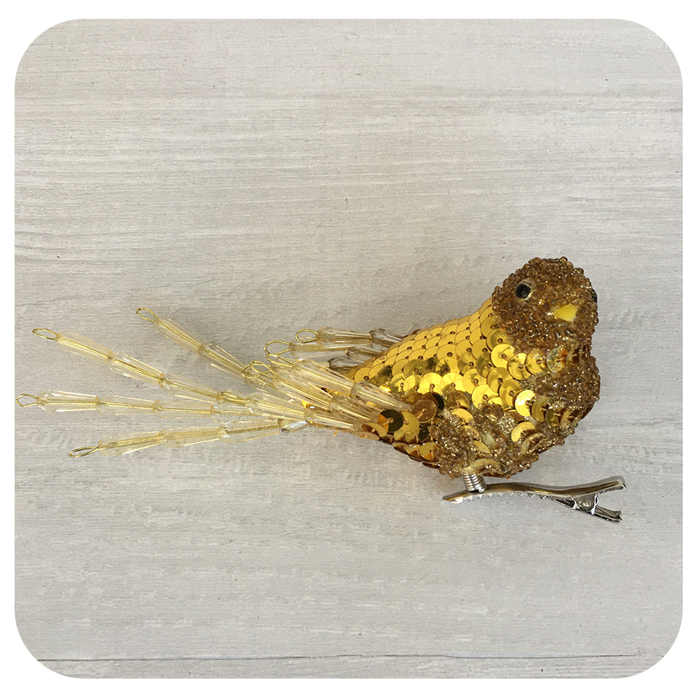 Small Jewelled Bird Clip