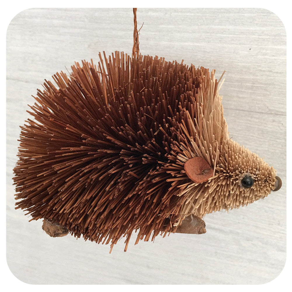 Textured Brown Hedgehog