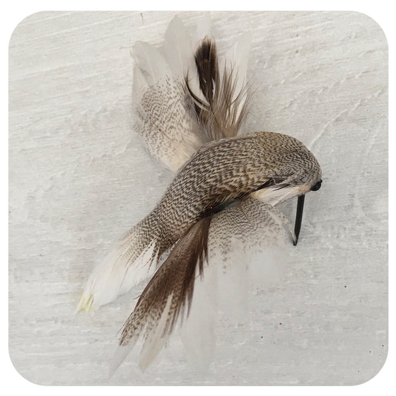 Brown Hummingbird Clip