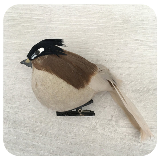 Round Brown Bird Clip