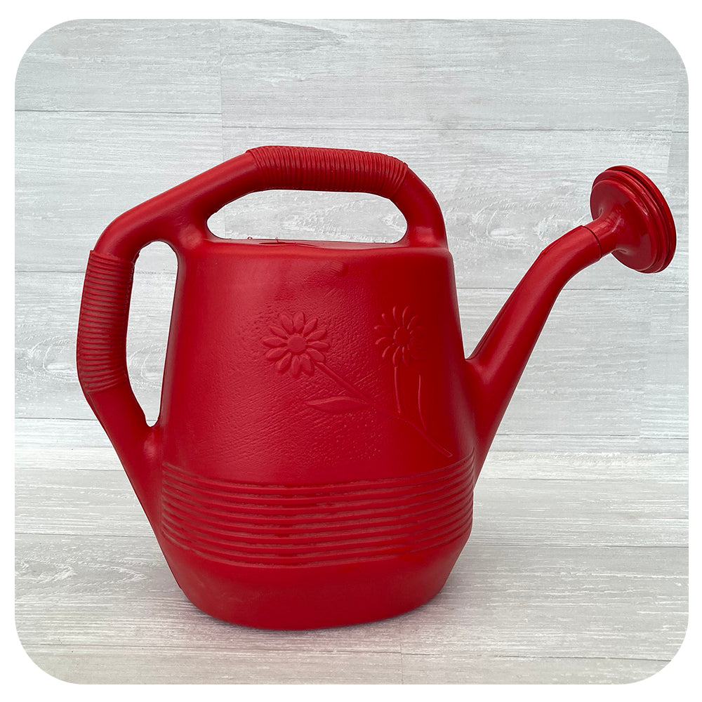Large Watering Can