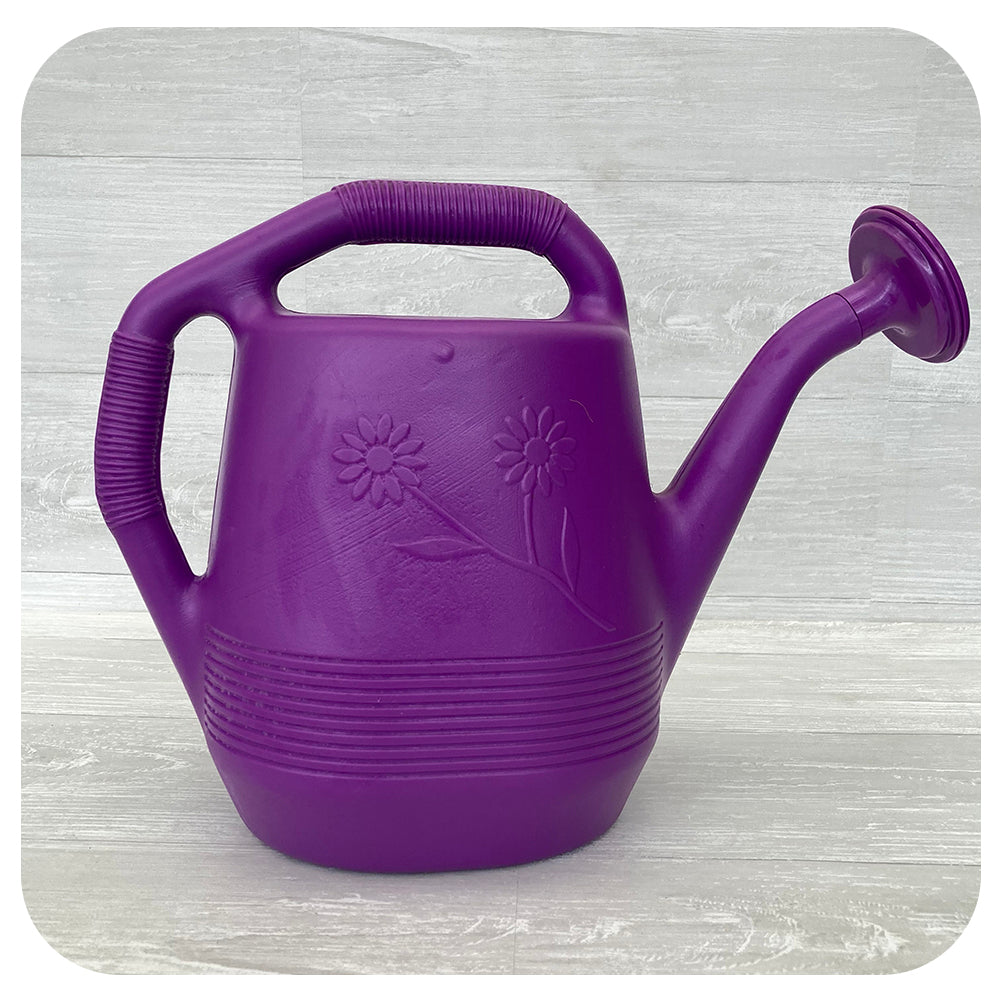 Large Watering Can